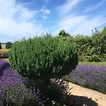 Guldbjerghus Bed and Breakfast Bogense