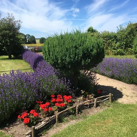 Guldbjerghus Bed & Breakfast Bogense