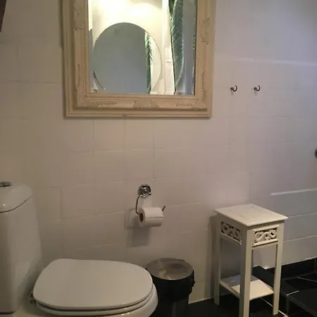 Guldbjerghus بوجنسي