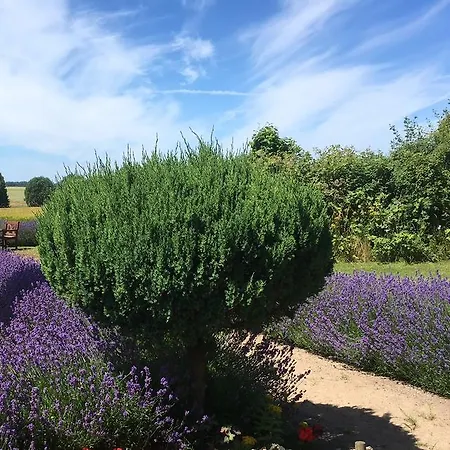 Guldbjerghus Bed & Breakfast Bogense