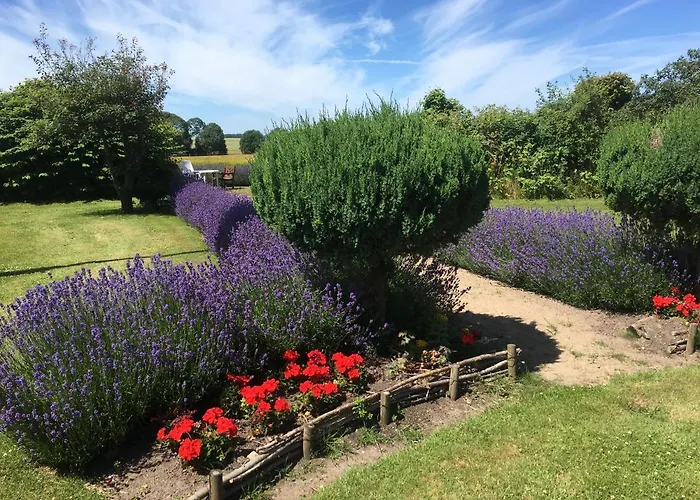 Guldbjerghus Bed & Breakfast Bogense