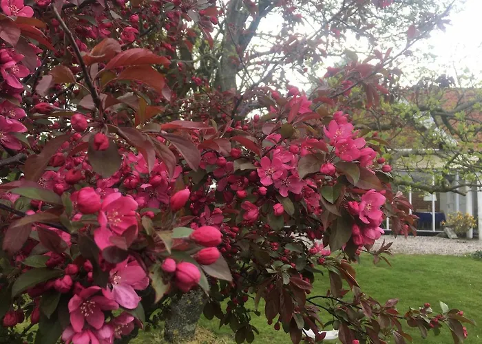 Guldbjerghus 3* Bogense