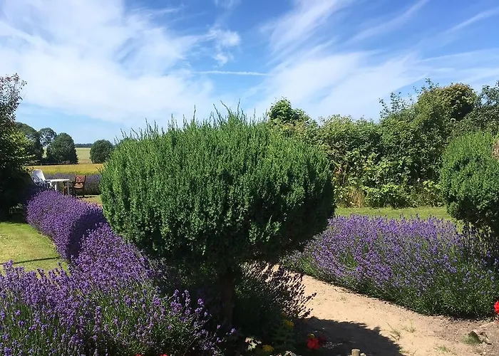 Guldbjerghus Bed & Breakfast Bogense